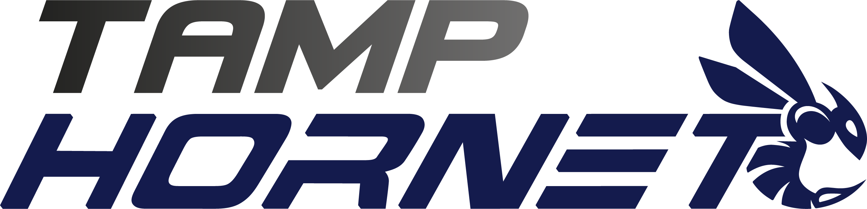 Logo Tamp Hornet Geismar